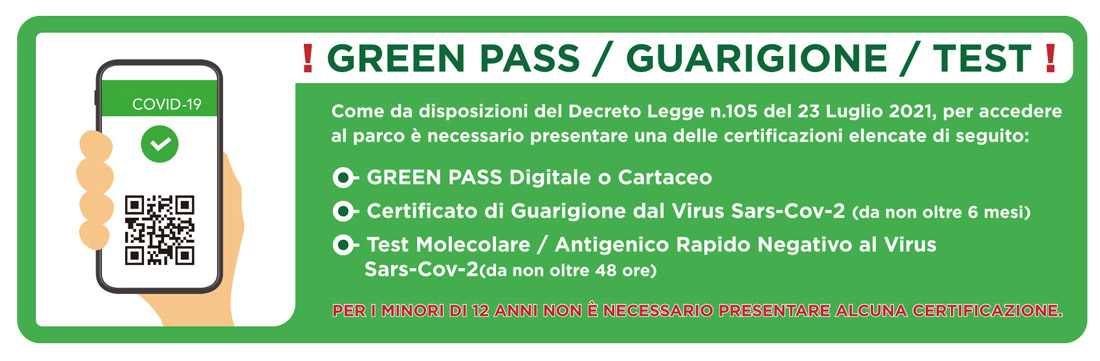 banner-green-pass-natale